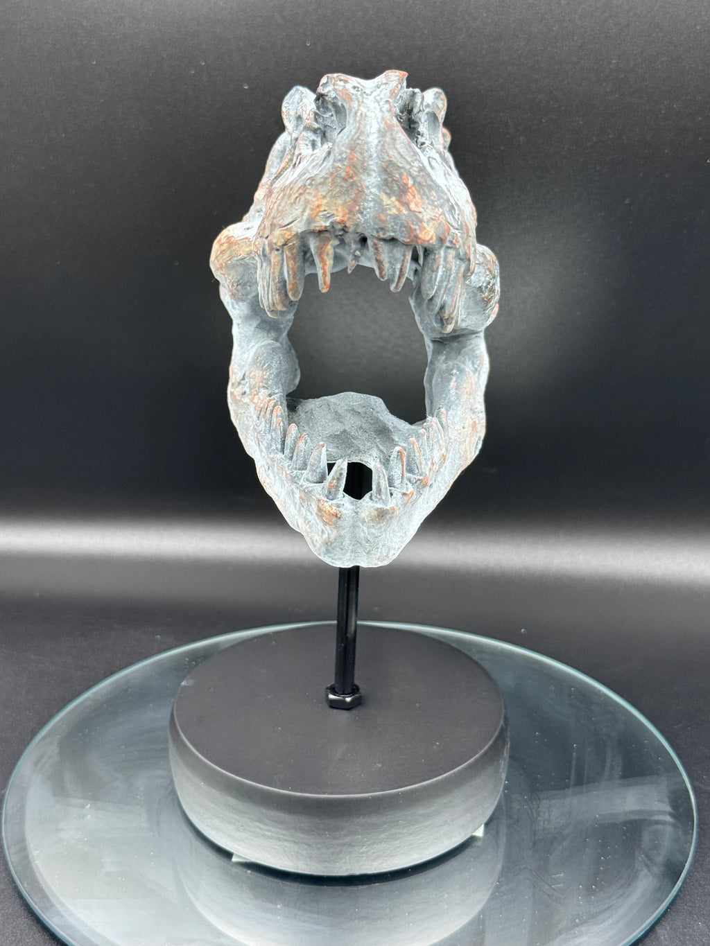 Tyrannosaurus Rex Skull on Plinth | Fossil Resin Sculpture | 24.2cm | Nemesis Now