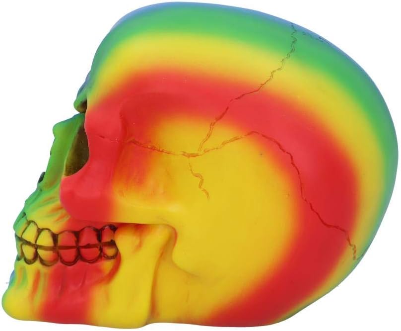 Rainbow Skull Ornament 15.5cm – Nemesis Now