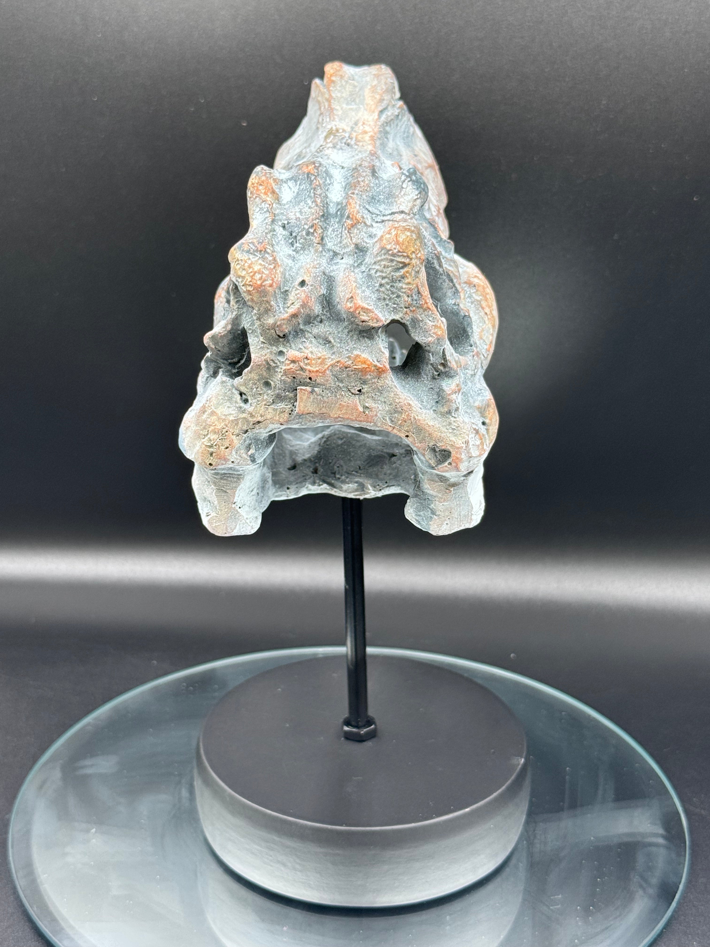 Tyrannosaurus Rex Skull on Plinth | Fossil Resin Sculpture | 24.2cm | Nemesis Now
