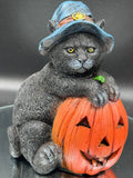 Trick or Treat 13cm