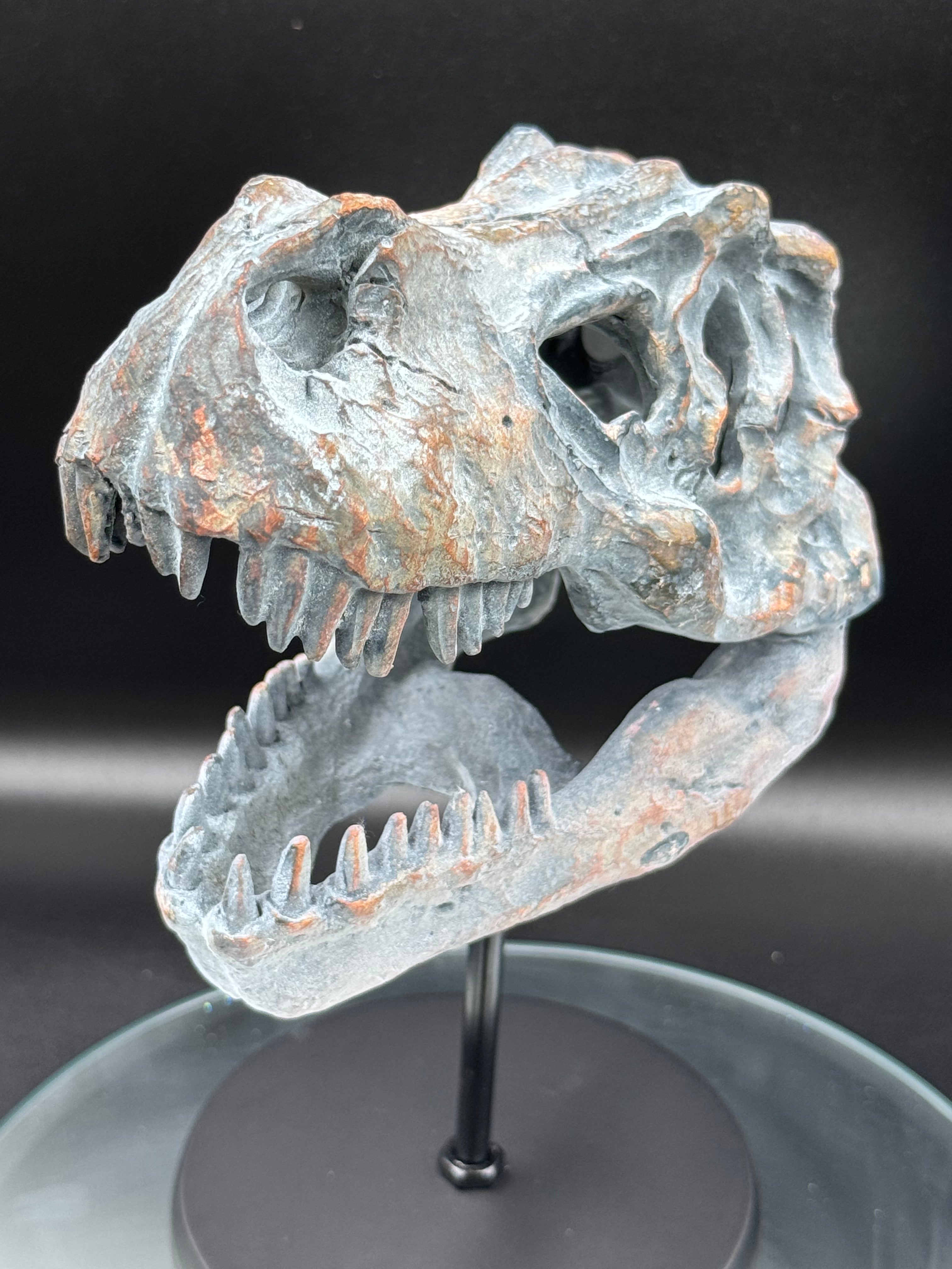 Tyrannosaurus Rex Skull on Plinth | Fossil Resin Sculpture | 24.2cm | Nemesis Now