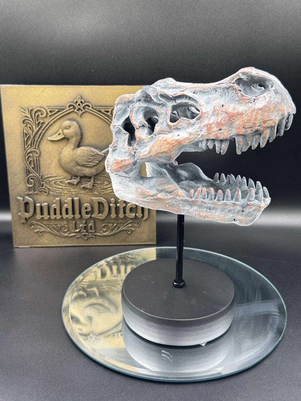 Tyrannosaurus Rex Skull on Plinth | Fossil Resin Sculpture | 24.2cm | Nemesis Now