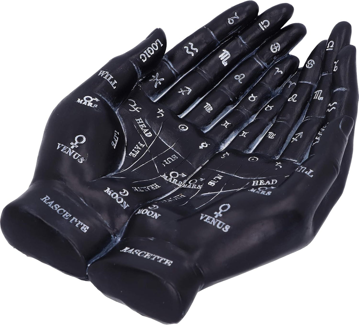 Palmist's Guide Black Palmistry Hands Candle Holder 22.3cm