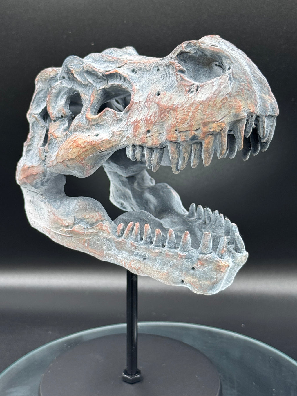 Tyrannosaurus Rex Skull on Plinth | Fossil Resin Sculpture | 24.2cm | Nemesis Now