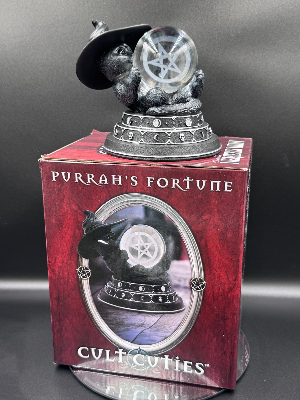 Purrah's Fortune 12.2cm