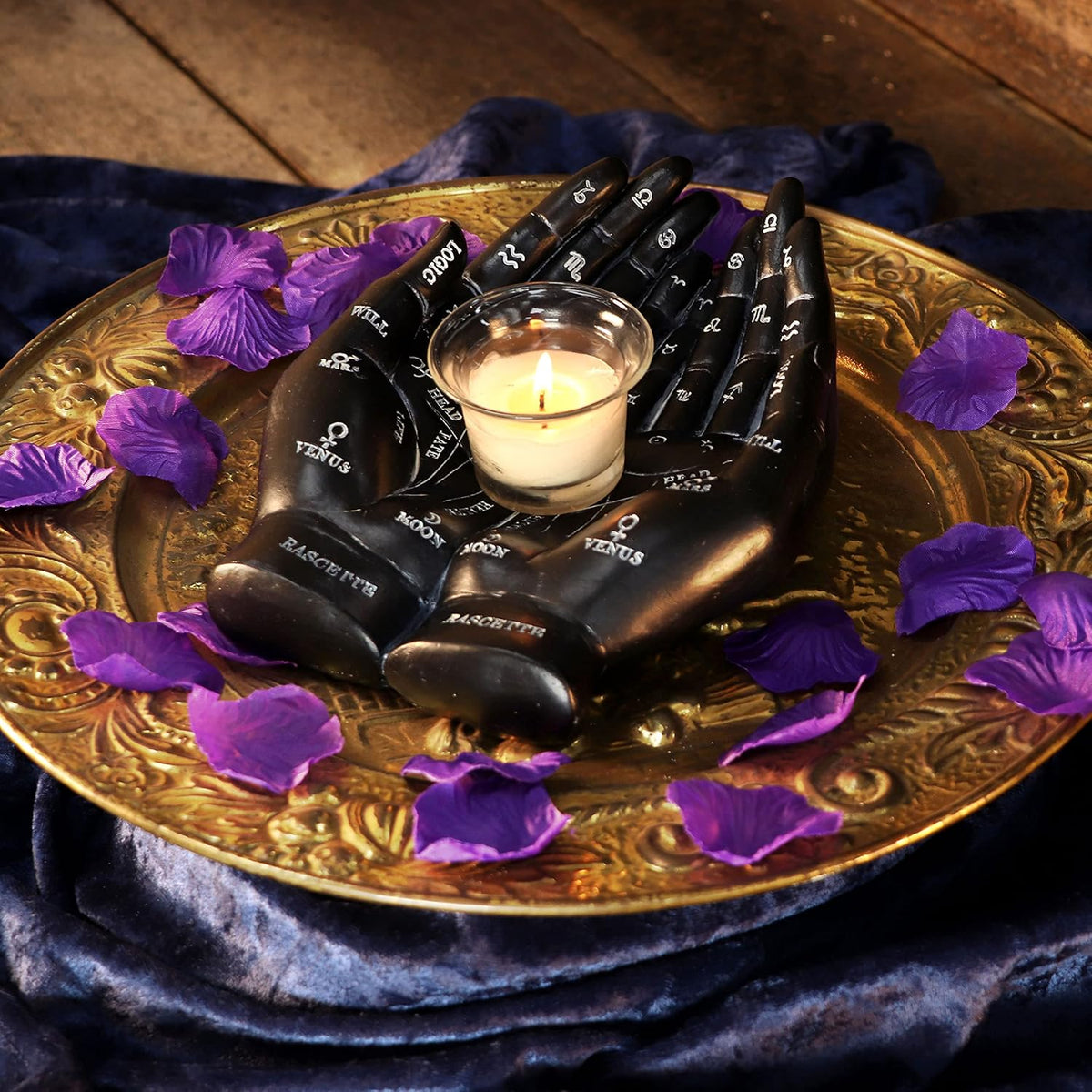 Palmist's Guide Black Palmistry Hands Candle Holder 22.3cm