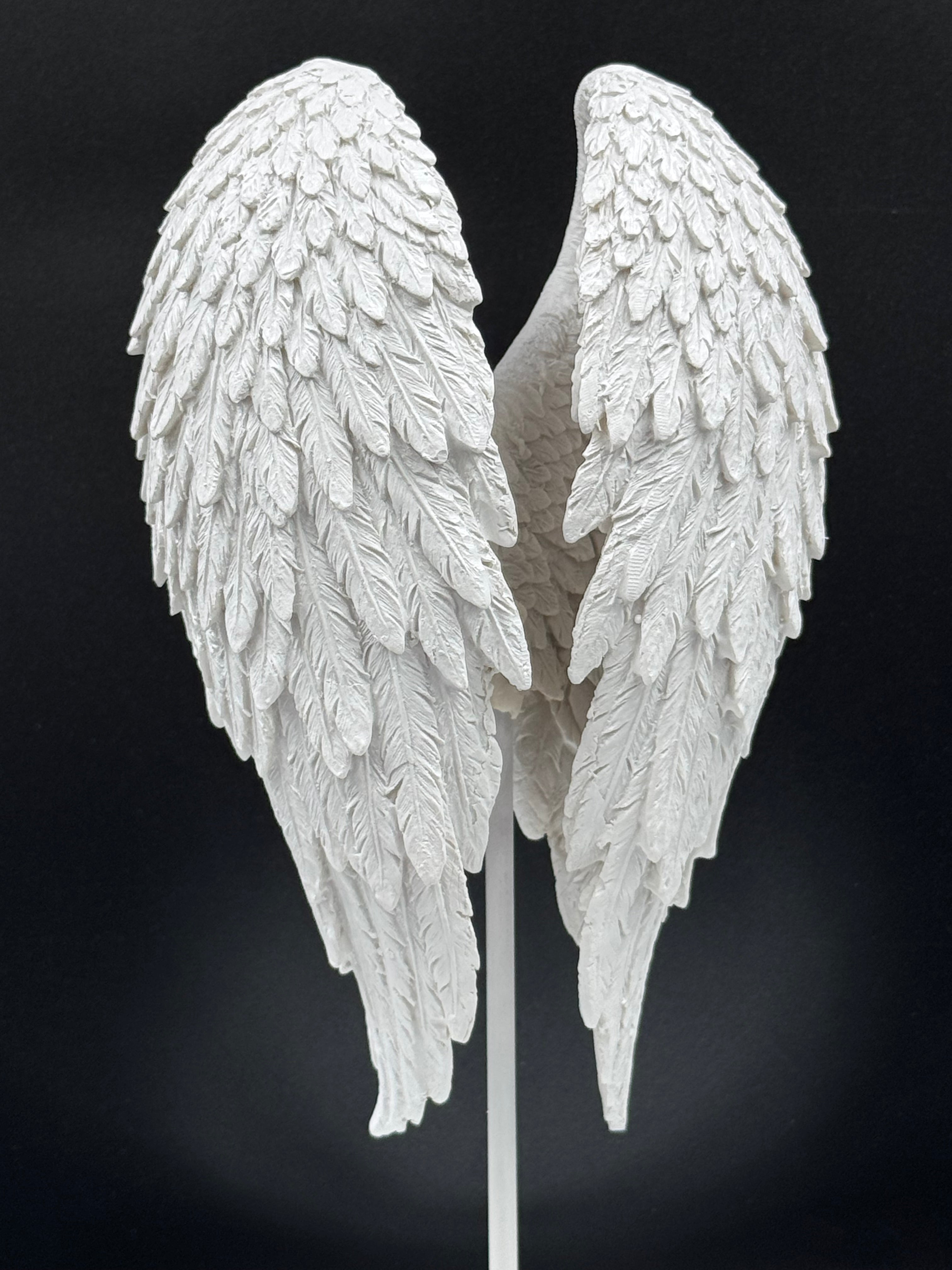 Angel Wings 26cm