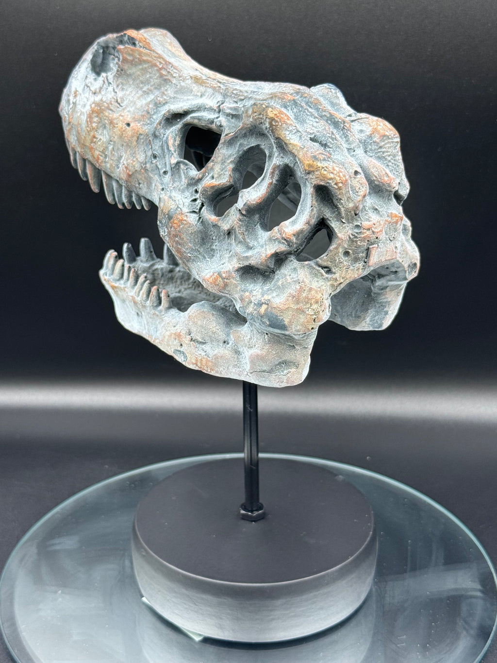 Tyrannosaurus Rex Skull on Plinth | Fossil Resin Sculpture | 24.2cm | Nemesis Now