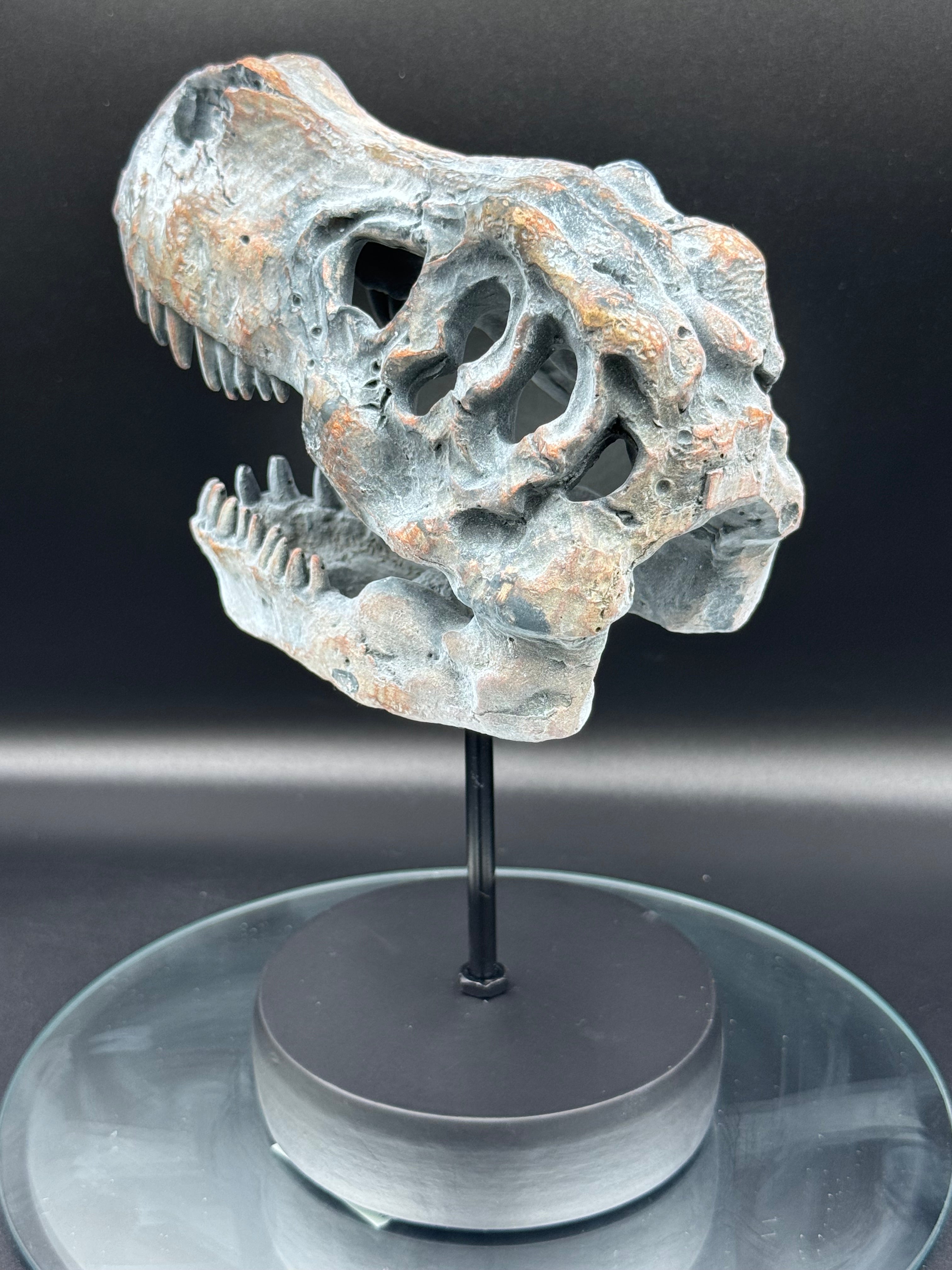 Tyrannosaurus Rex Skull on Plinth | Fossil Resin Sculpture | 24.2cm | Nemesis Now
