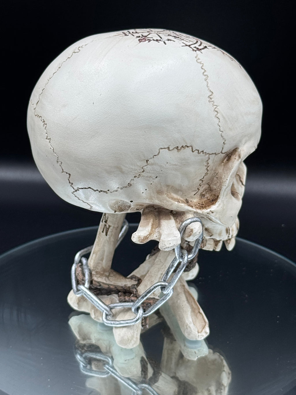The Reckoning Skull Ornament 14.5cm