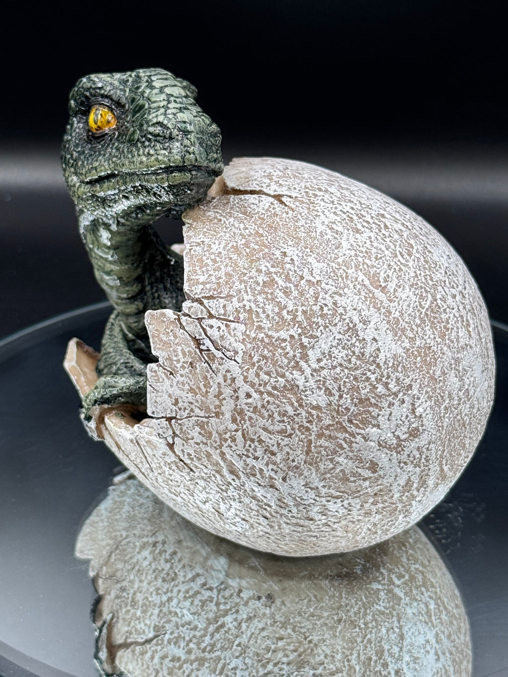 Raptors Dawn 10cm