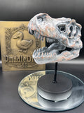 Tyrannosaurus Rex Skull on Plinth | Fossil Resin Sculpture | 24.2cm | Nemesis Now