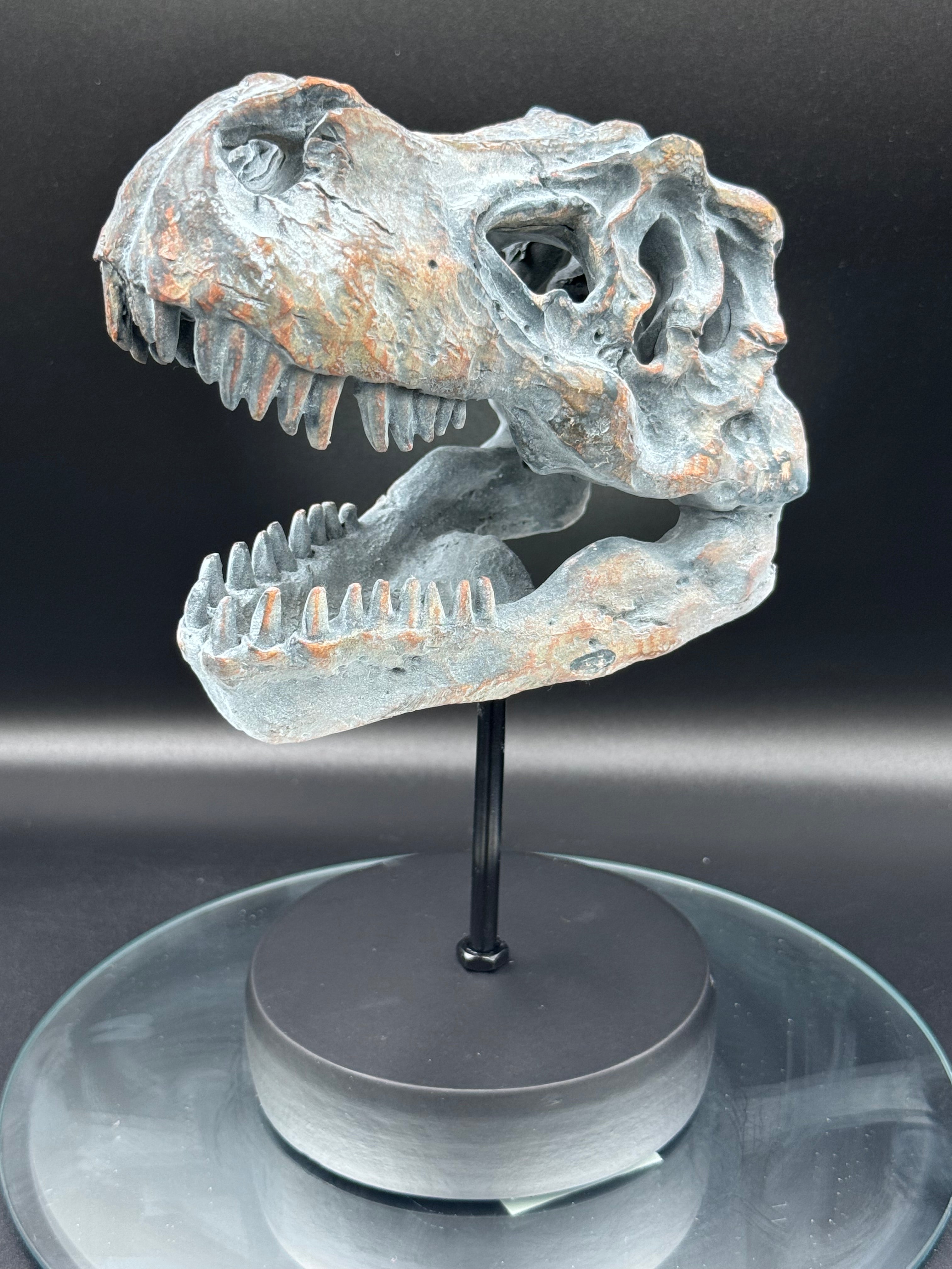 Tyrannosaurus Rex Skull on Plinth | Fossil Resin Sculpture | 24.2cm | Nemesis Now