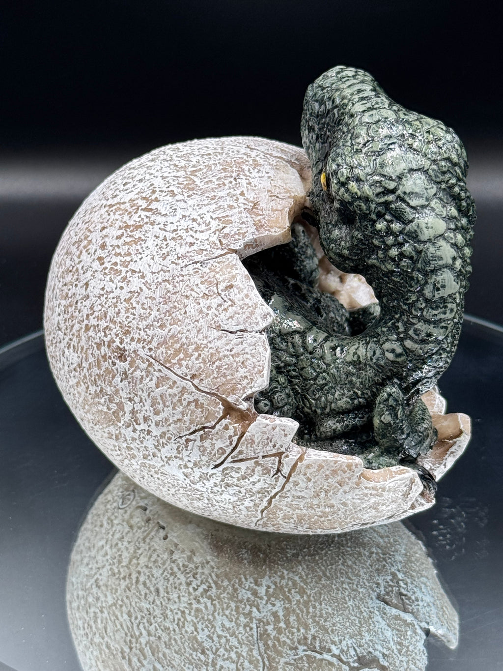 Raptors Dawn 10cm
