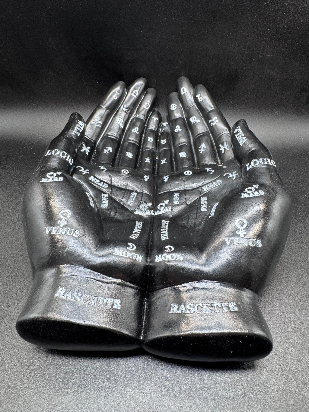 Palmist's Guide (Black) 22.3cm
