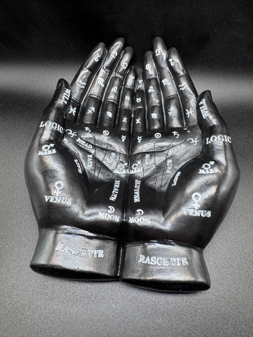 Palmist's Guide (Black) 22.3cm