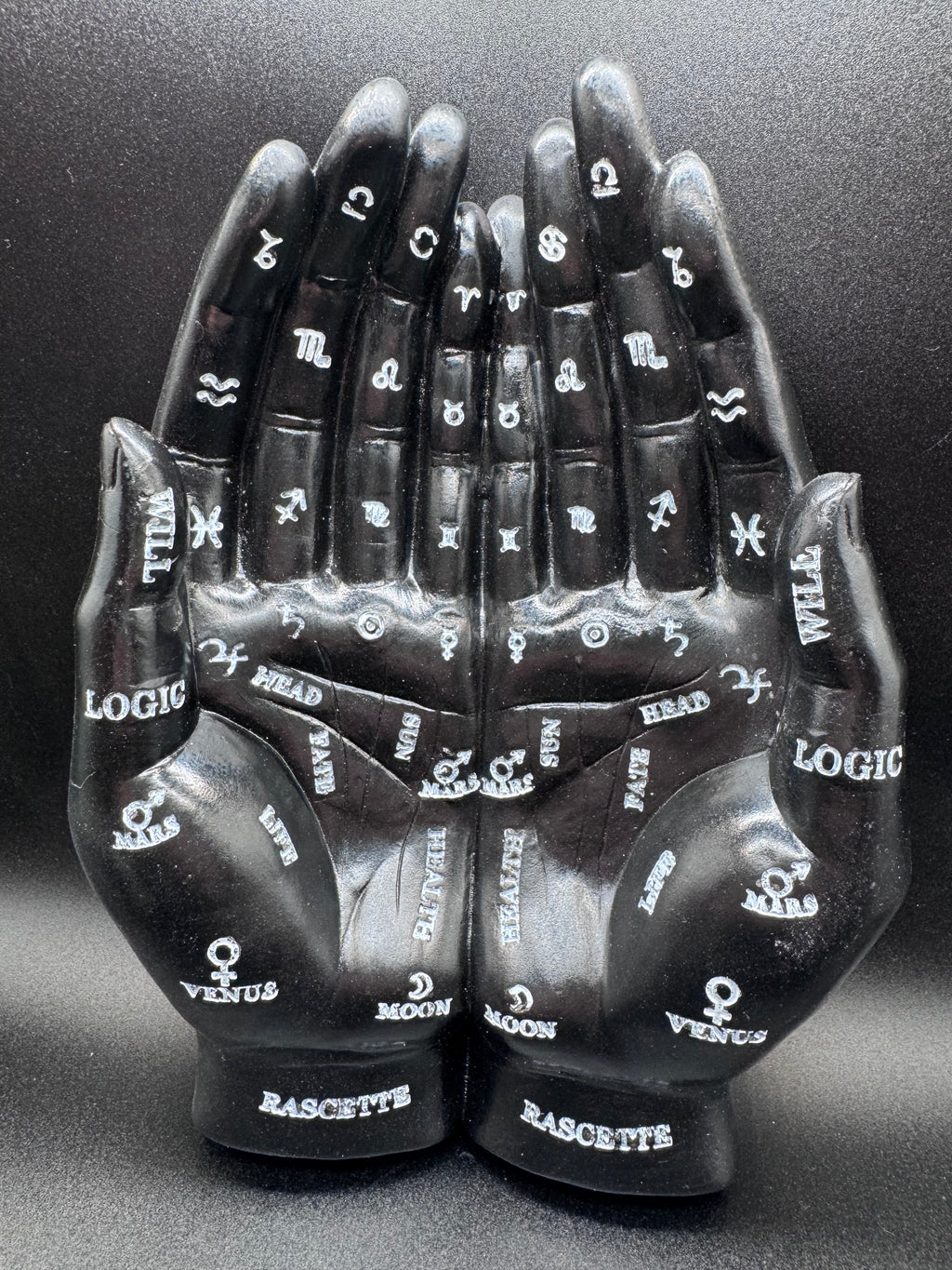 Palmist's Guide (Black) 22.3cm