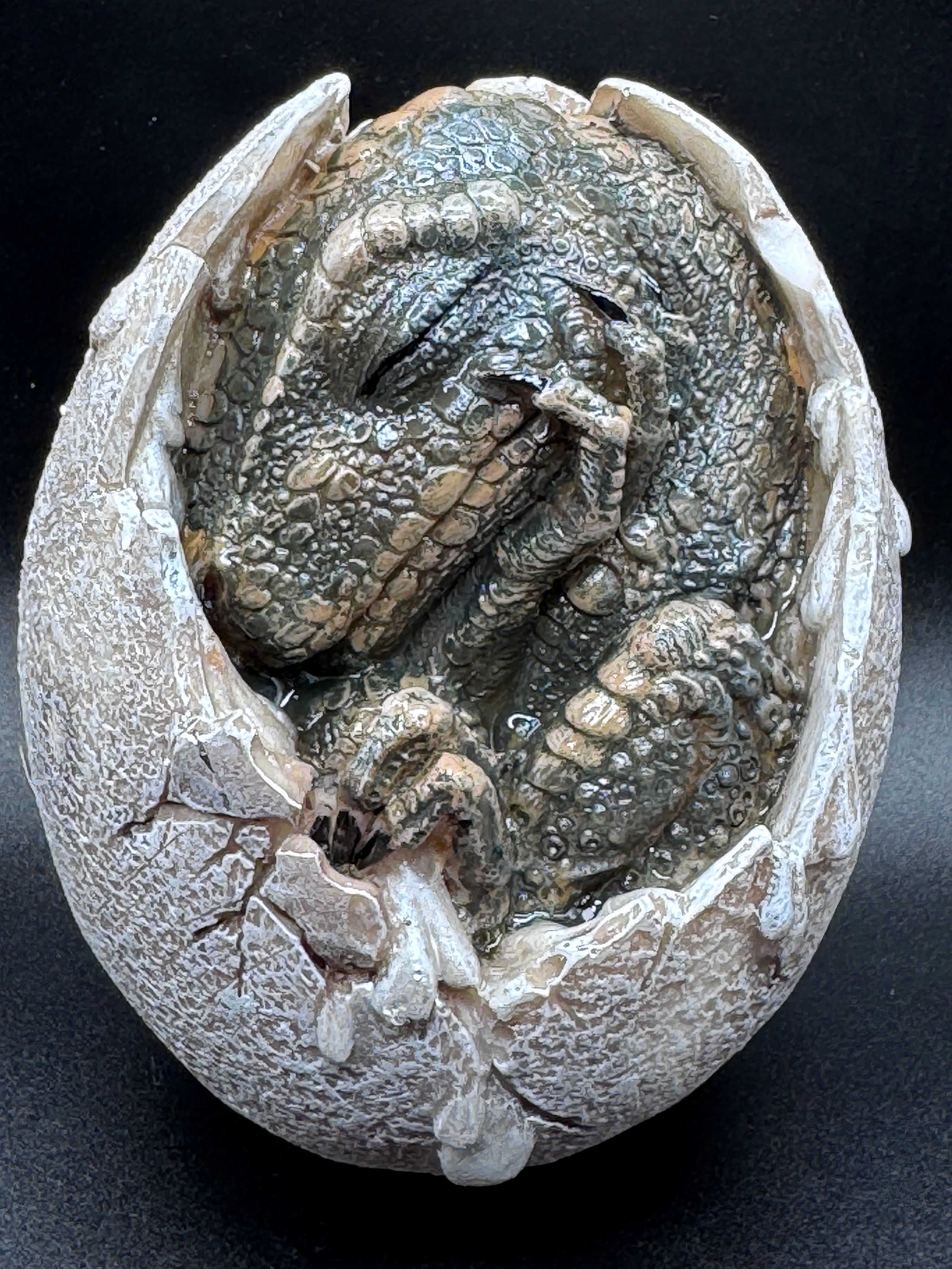 Wyrmlings Dragon Egg First Light 12cm