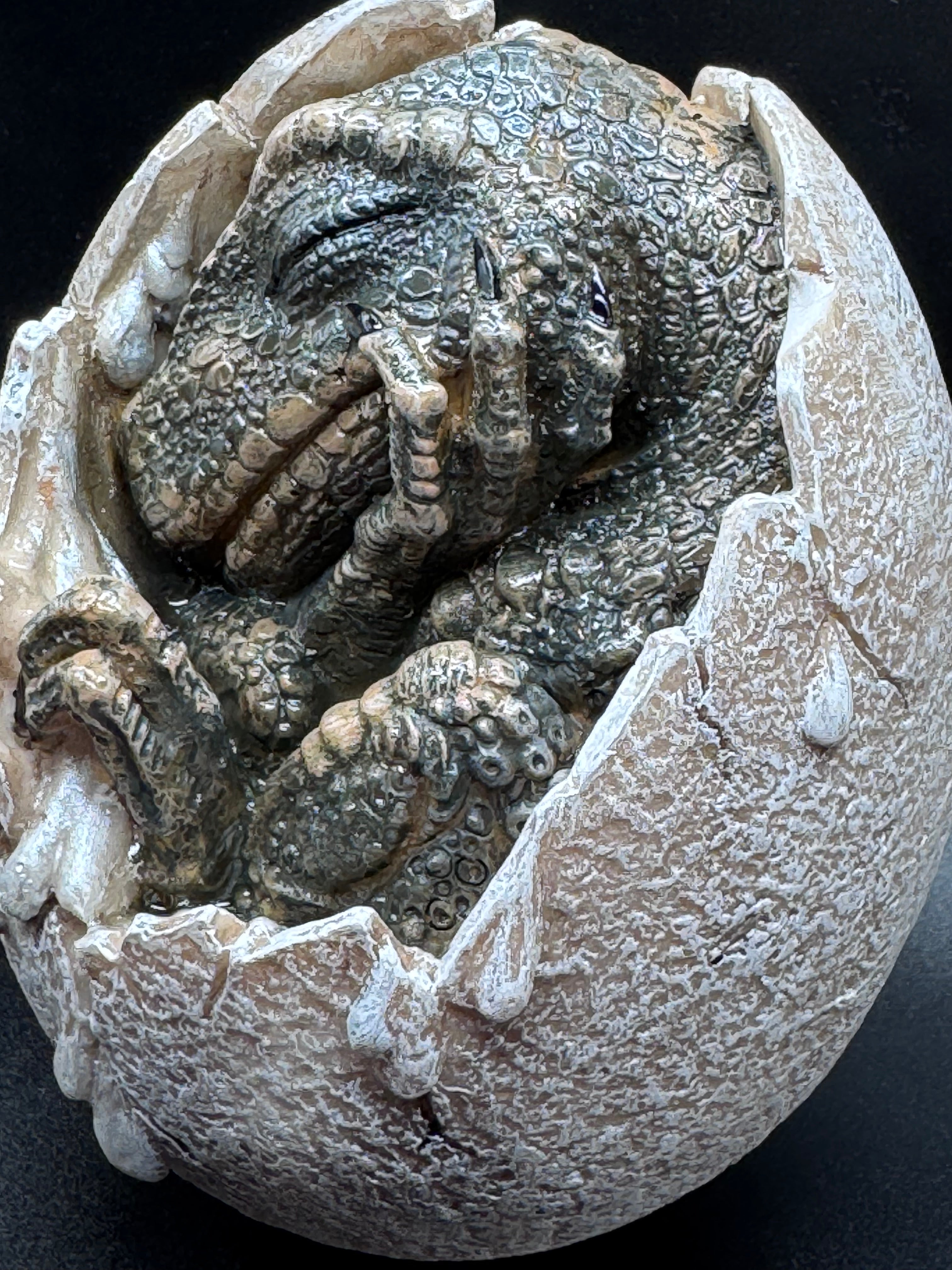 Wyrmlings Dragon Egg First Light 12cm