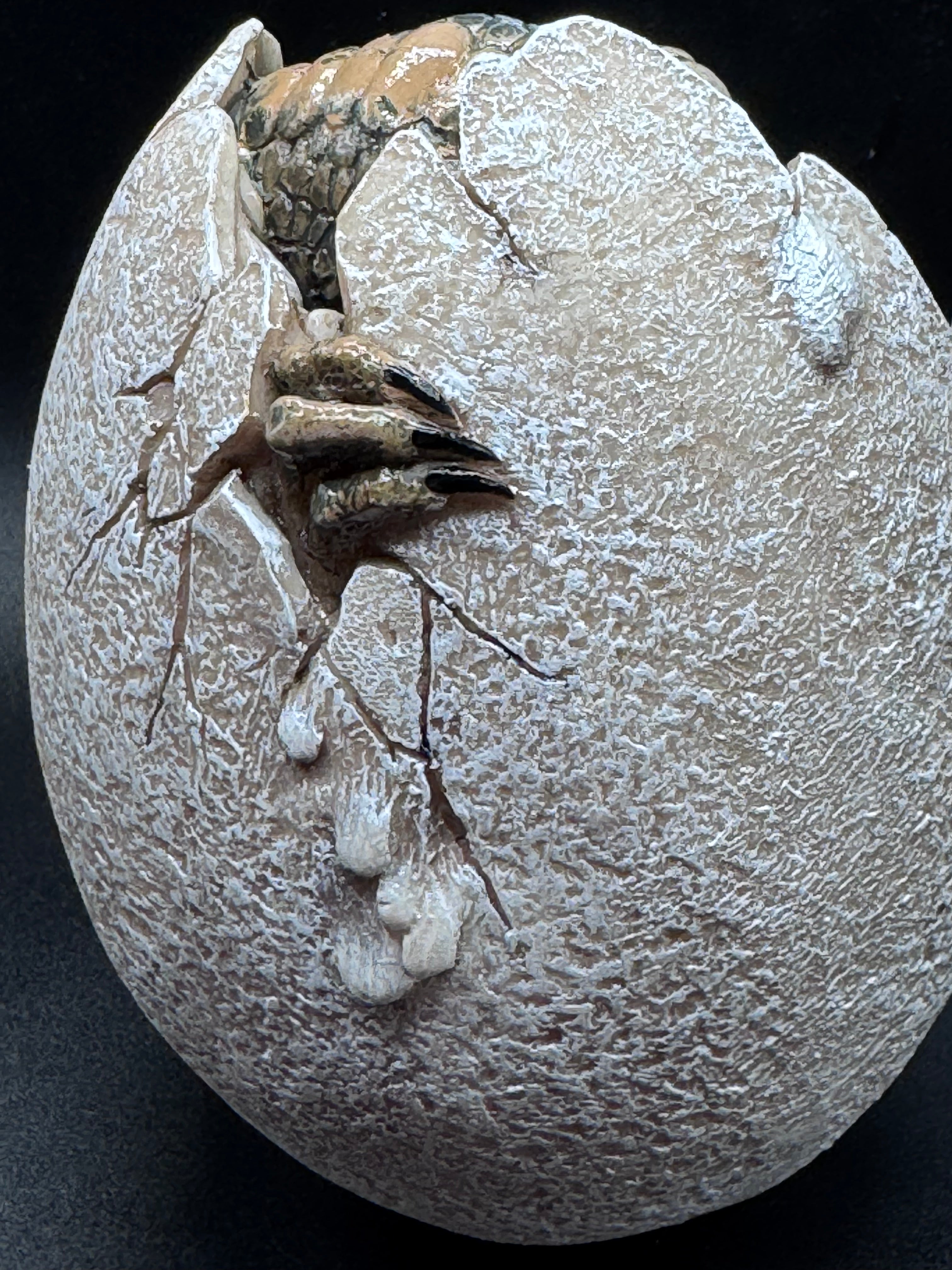 Wyrmlings Dragon Egg First Light 12cm