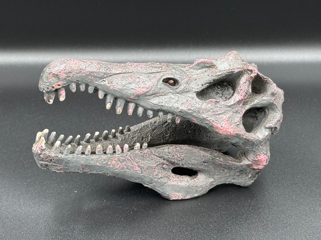 Spinosaurus Skull Resin Replica