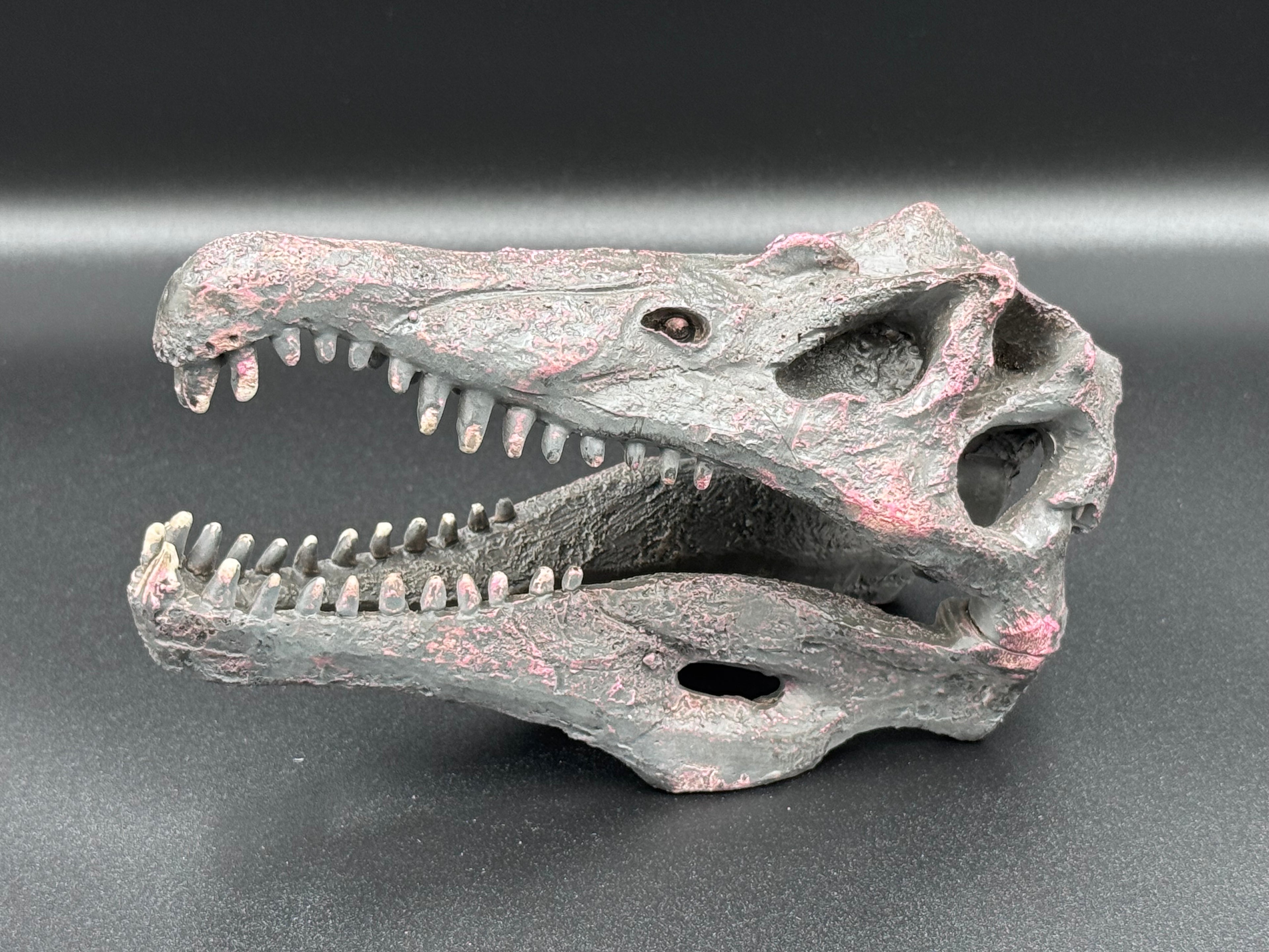 Spinosaurus Skull Resin Replica