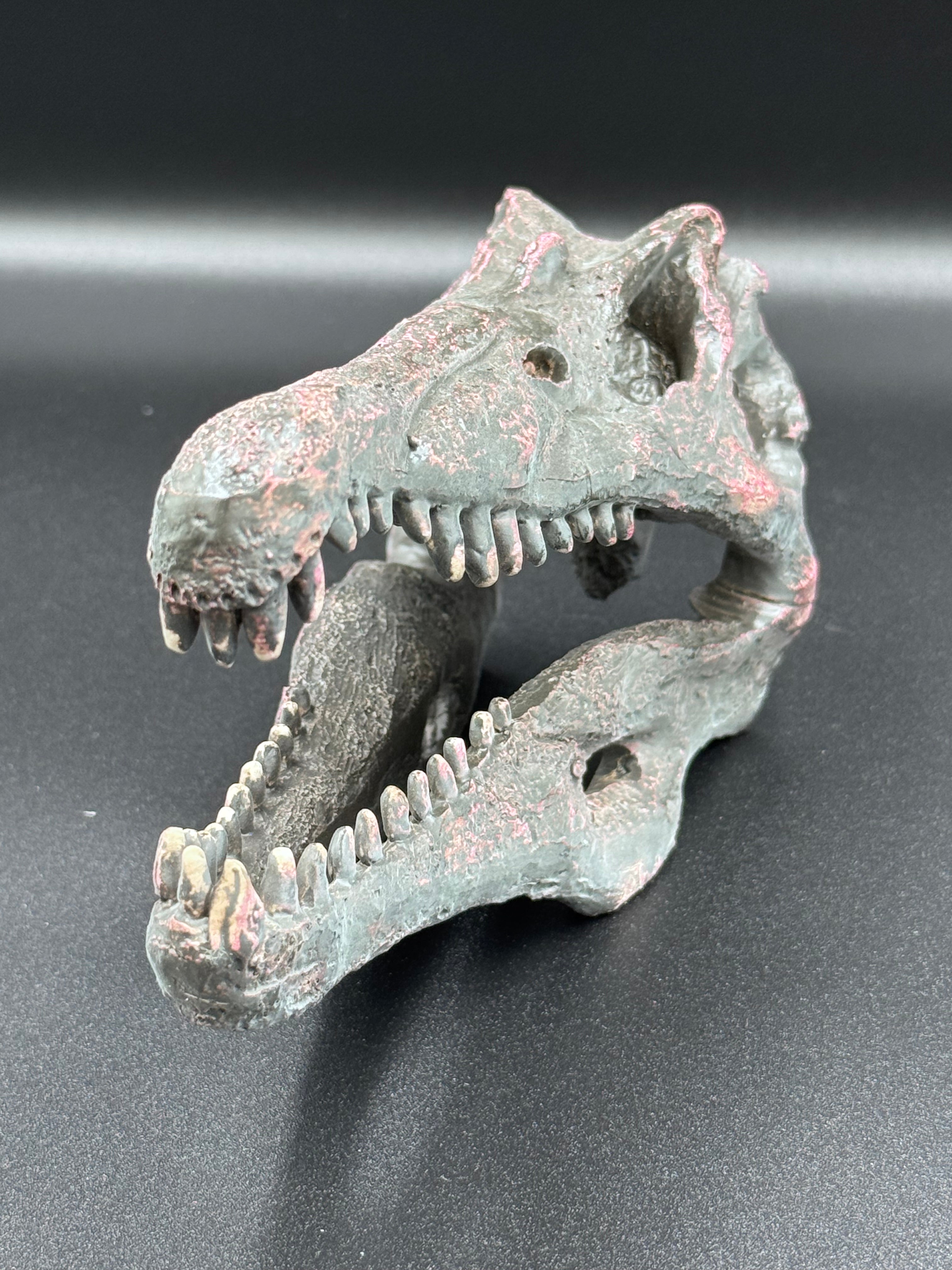 Spinosaurus Skull Resin Replica