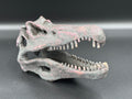 Spinosaurus Skull Resin Replica
