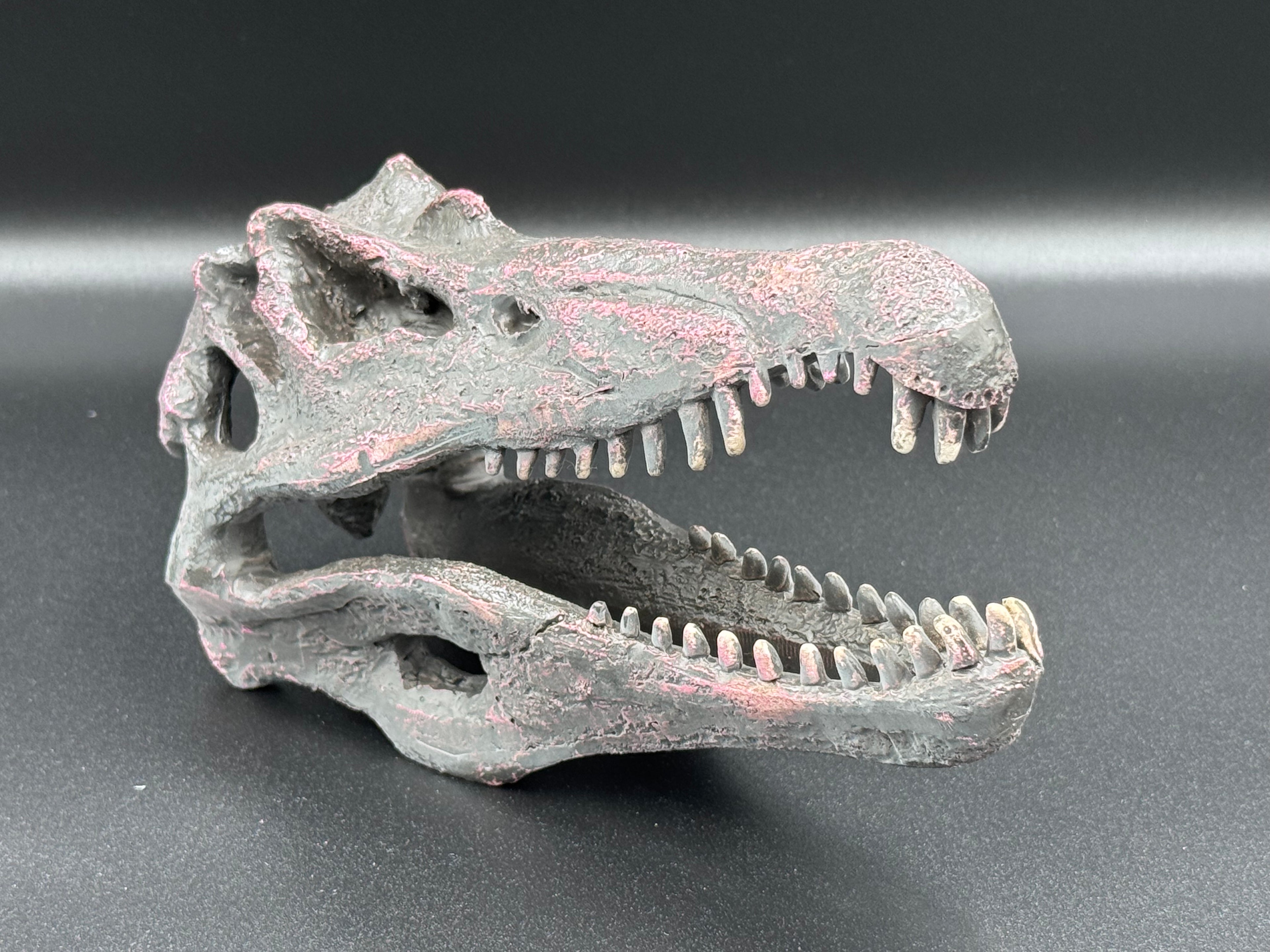 Spinosaurus Skull Resin Replica