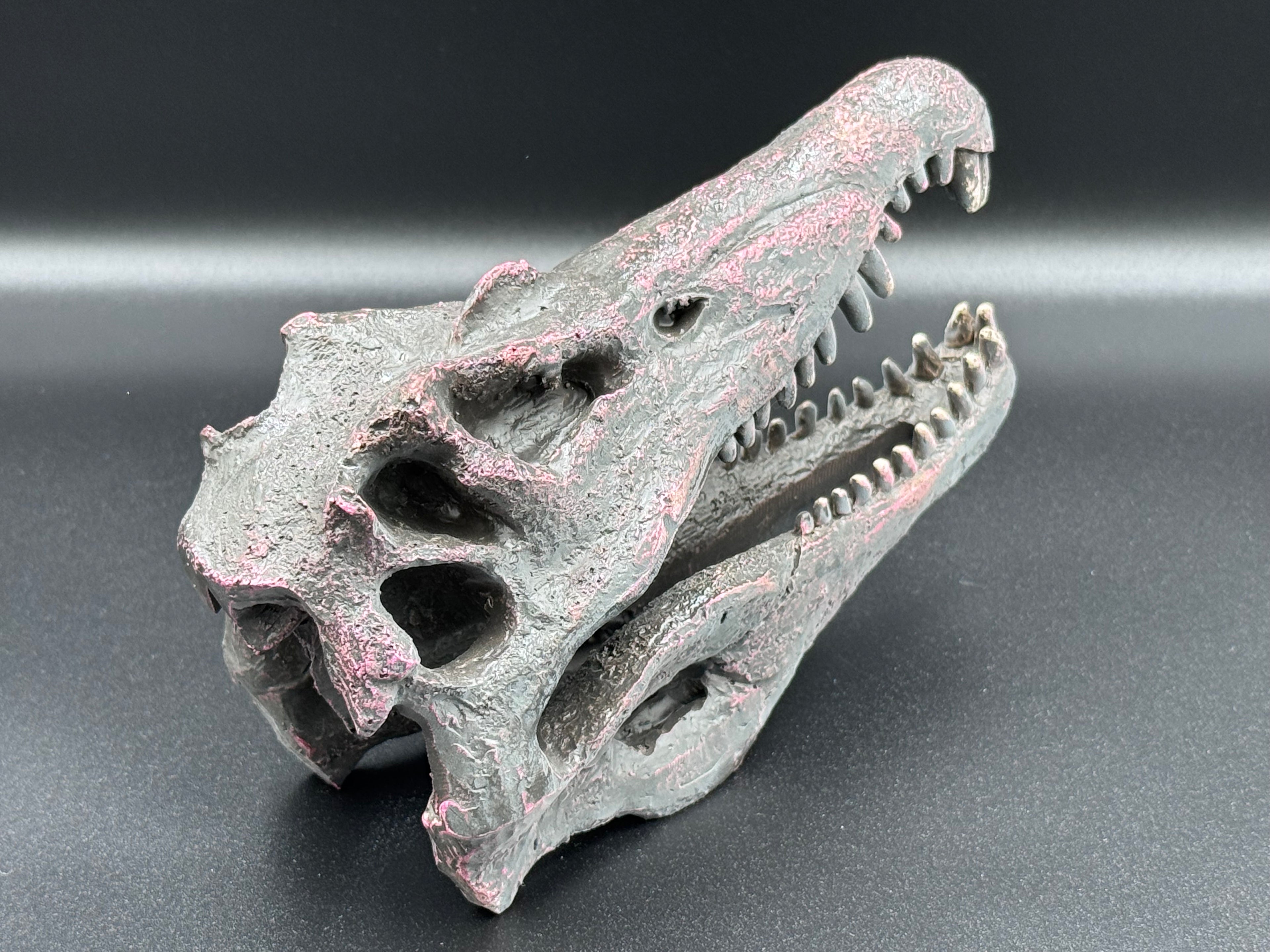 Spinosaurus Skull Resin Replica