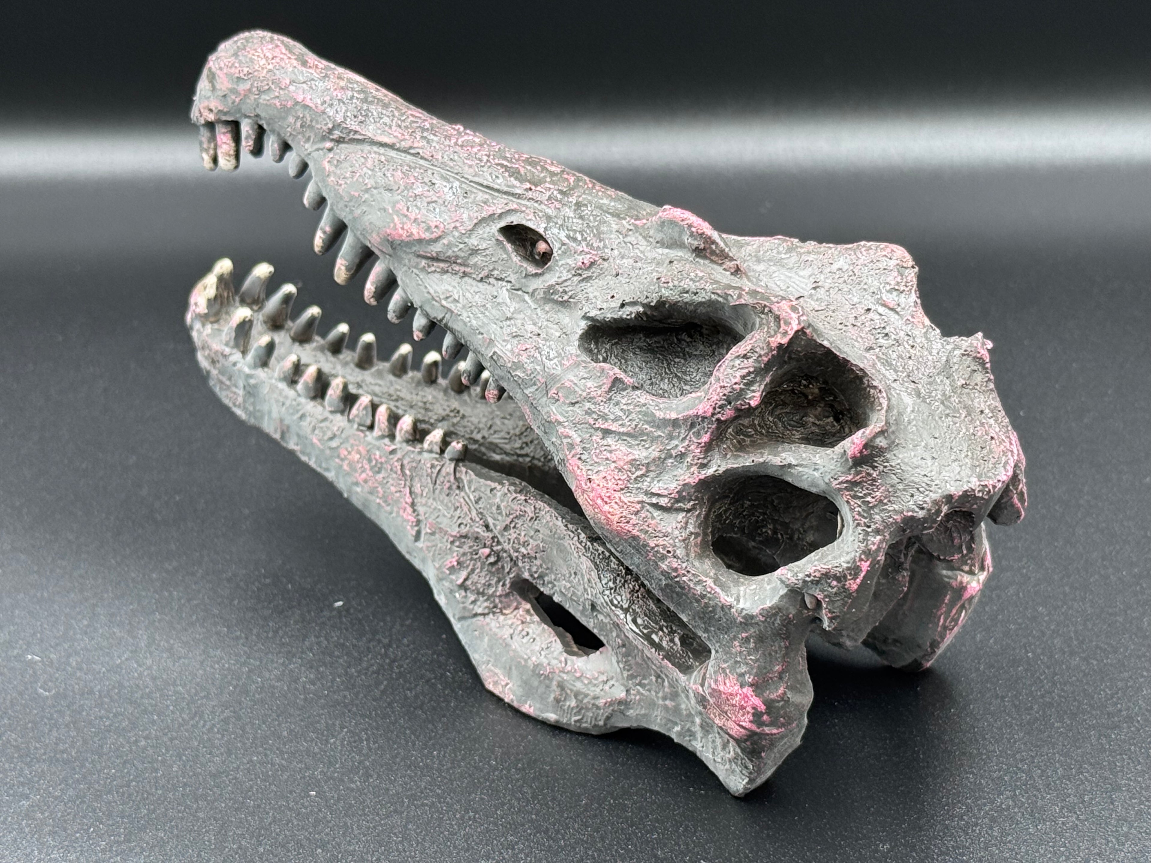 Spinosaurus Skull Resin Replica