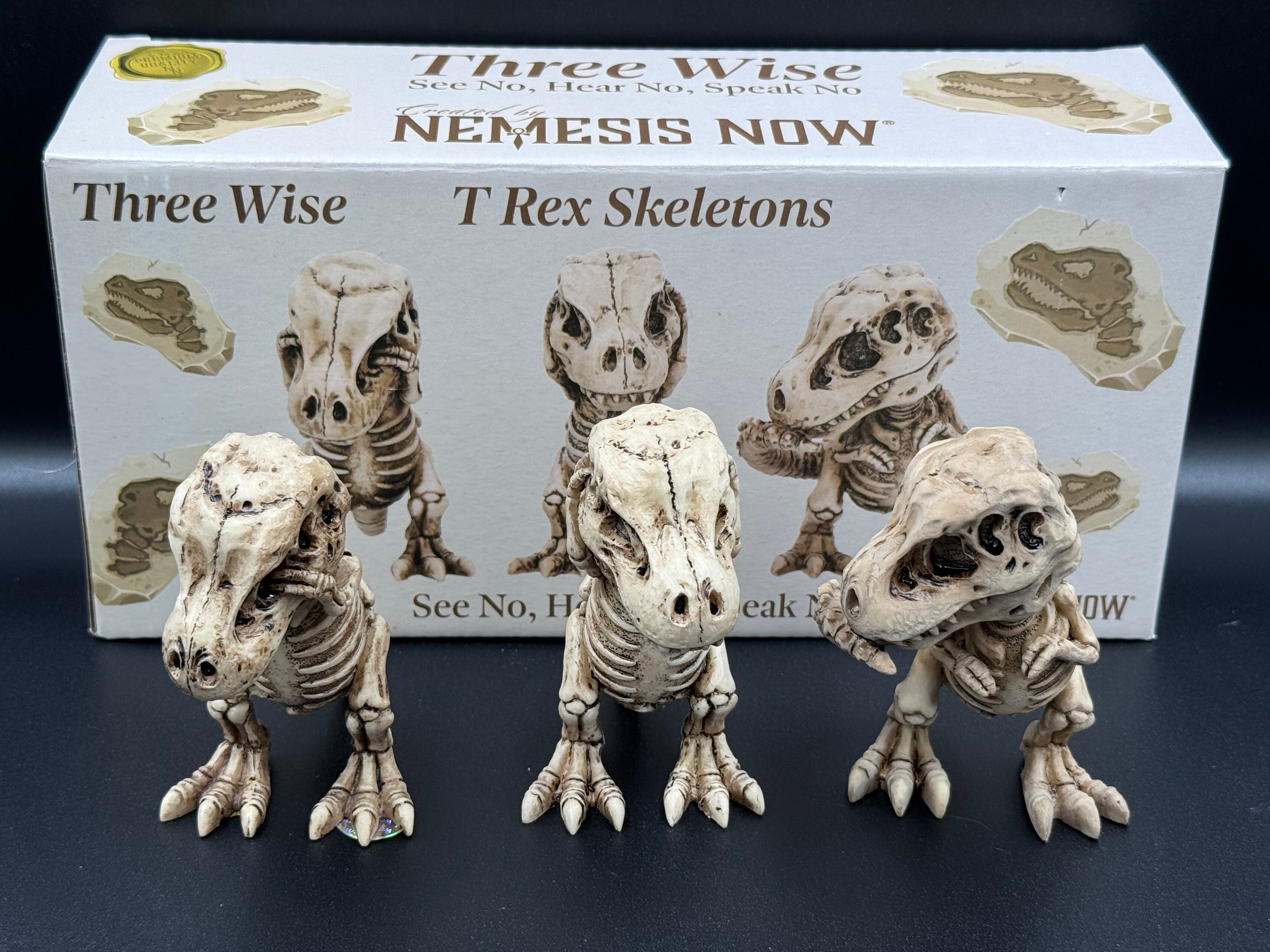Three Wise Tyrannosaurus Rex Skeleton Figurines
