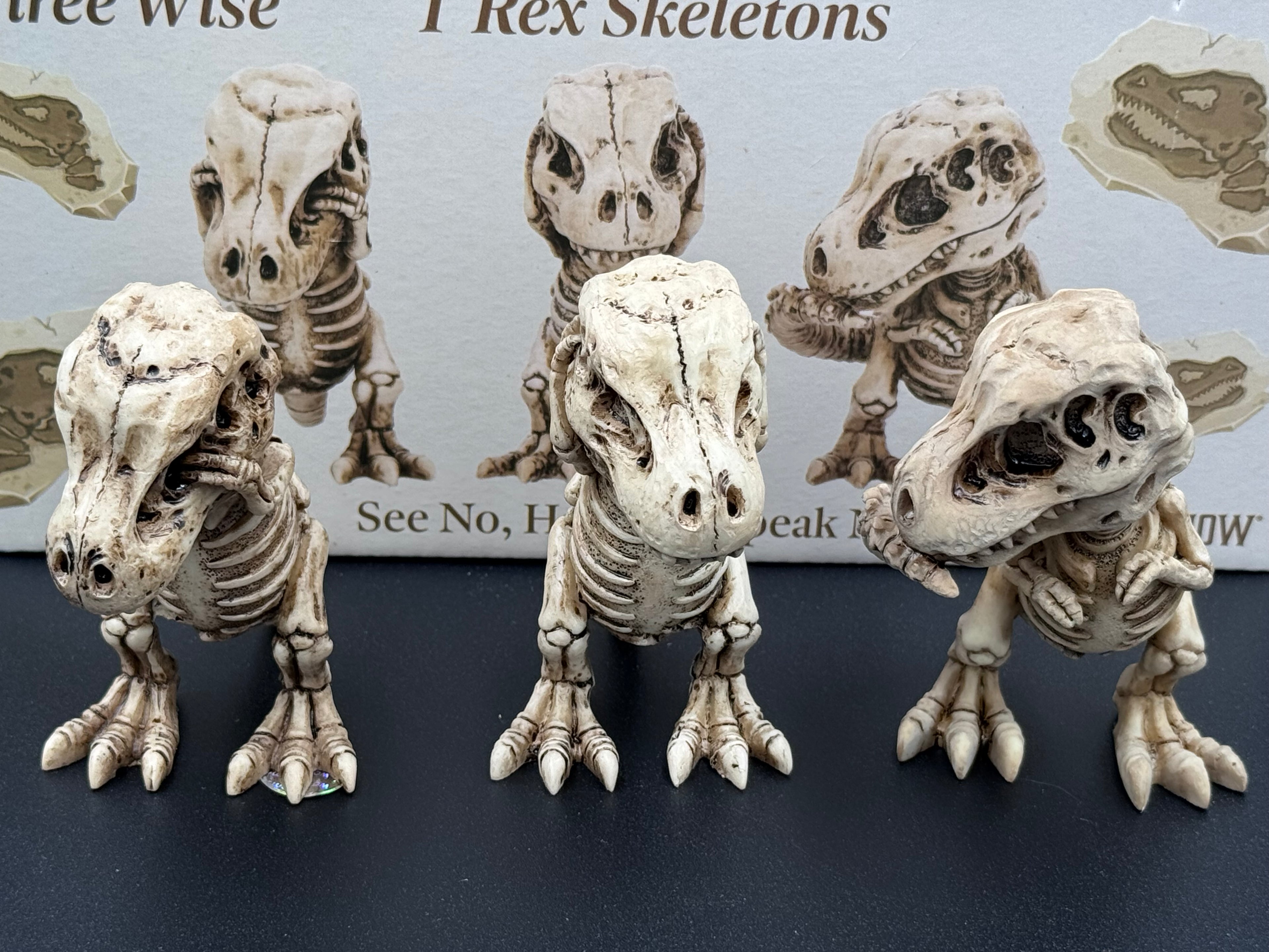 Three Wise Tyrannosaurus Rex Skeleton Figurines