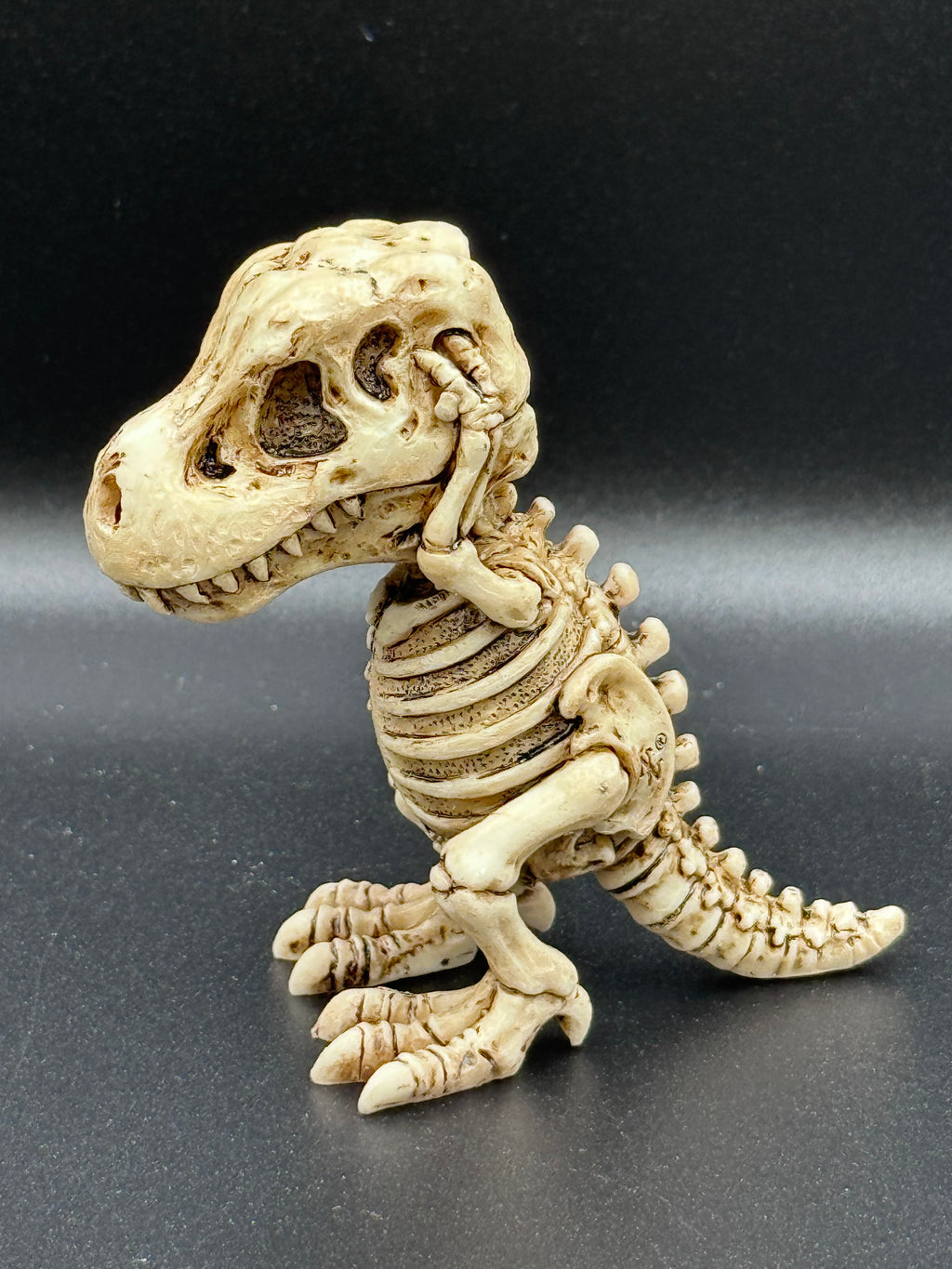 Three Wise Tyrannosaurus Rex Skeleton Figurines