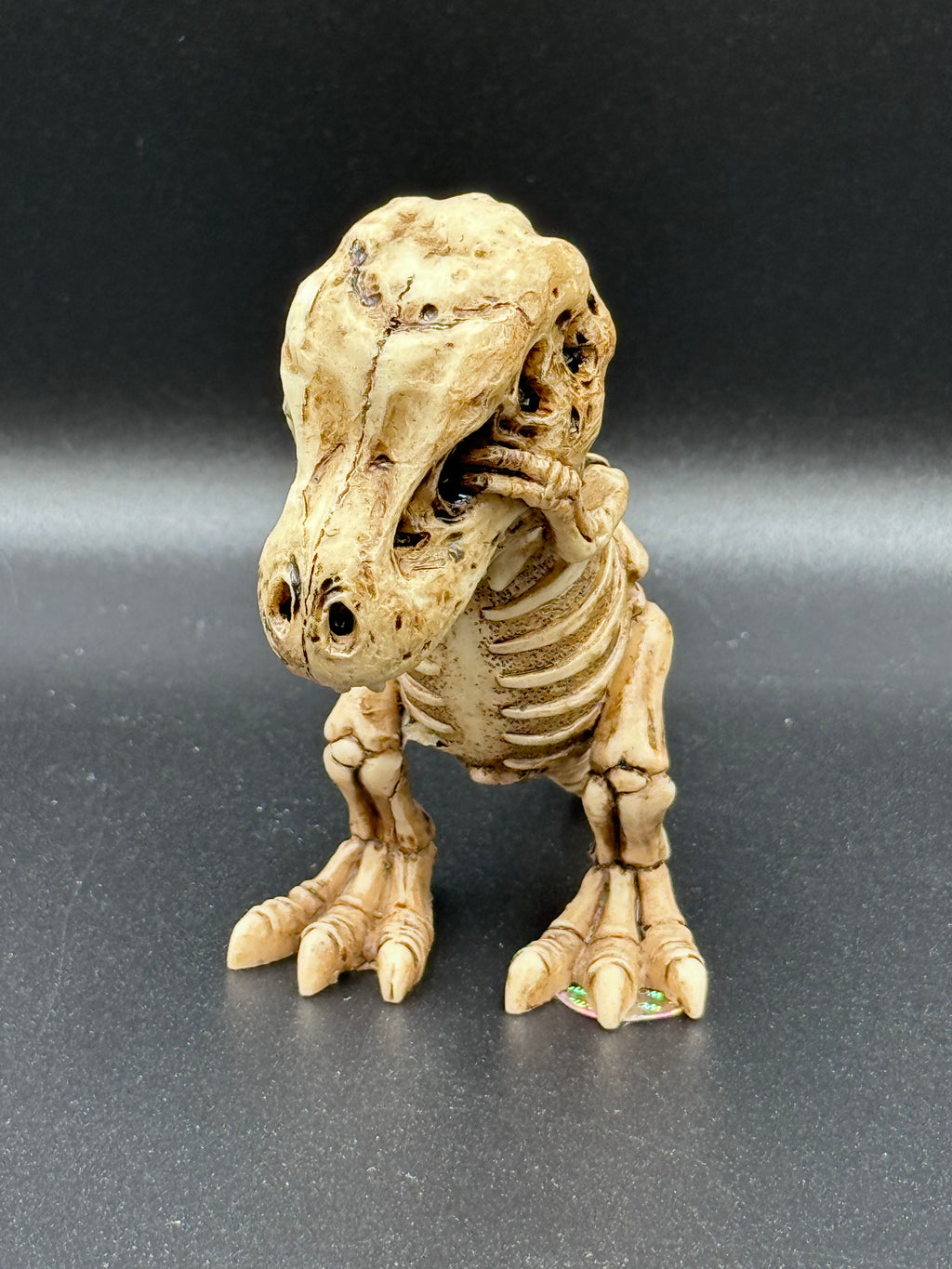 Three Wise Tyrannosaurus Rex Skeleton Figurines