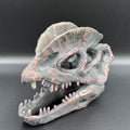 Dilophosaurus Skull Resin Replica