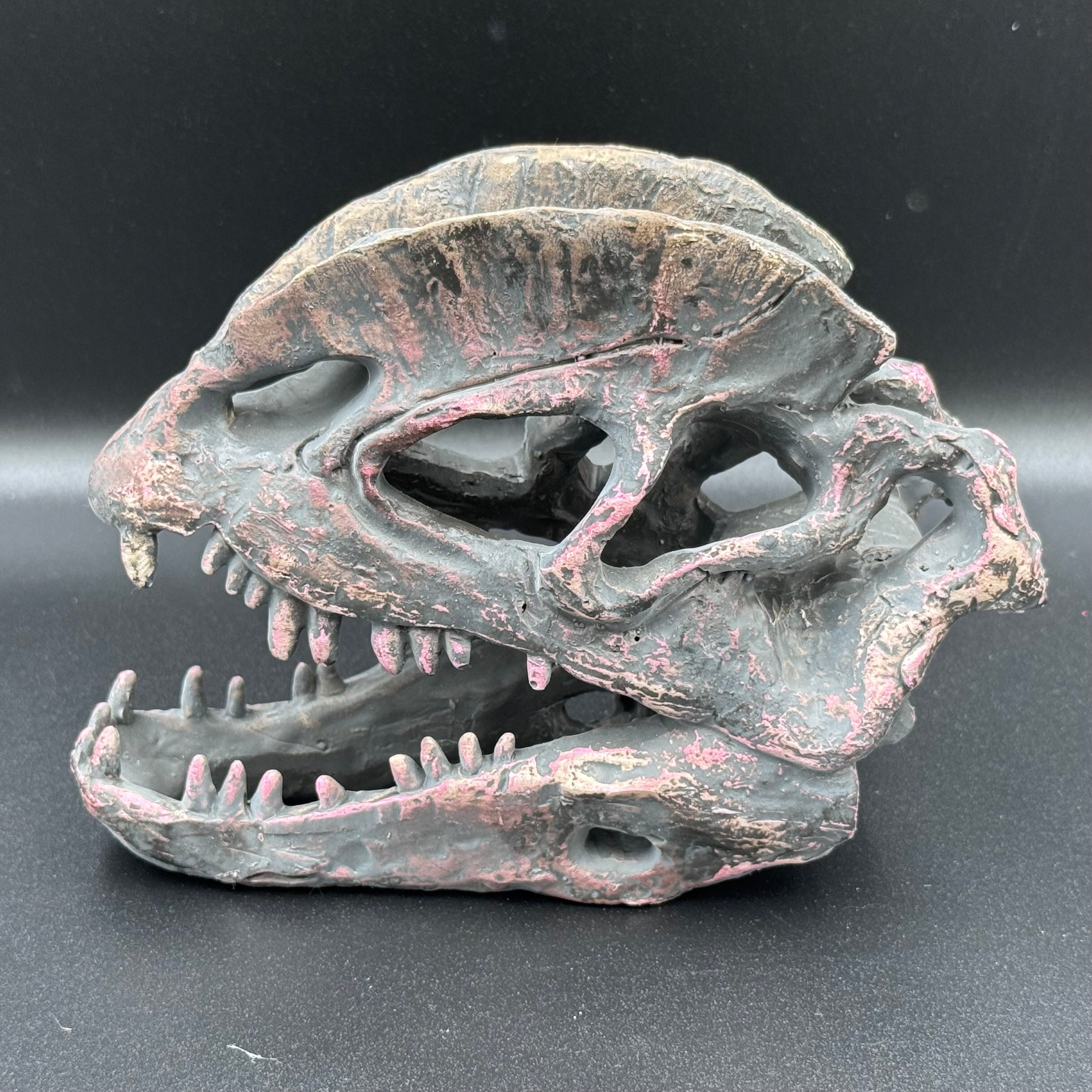 Dilophosaurus Skull Resin Replica