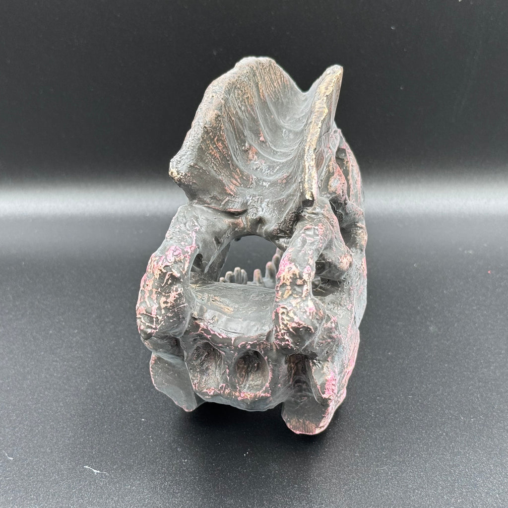 Dilophosaurus Skull Resin Replica