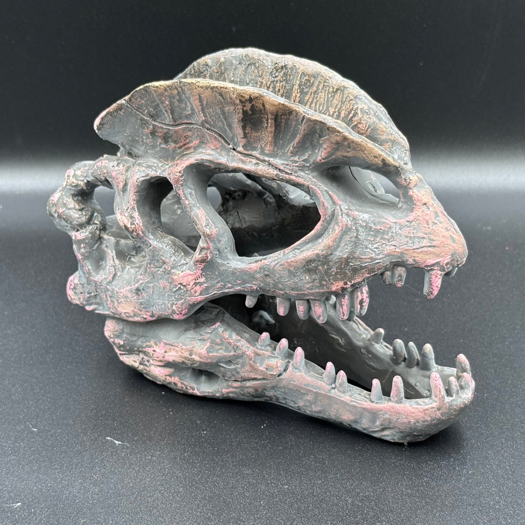 Dilophosaurus Skull Resin Replica