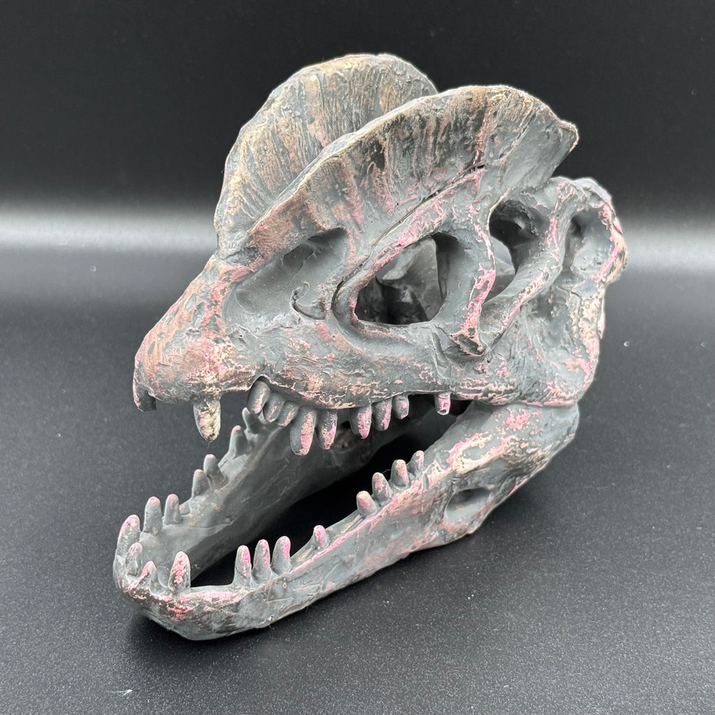 Dilophosaurus Skull Resin Replica