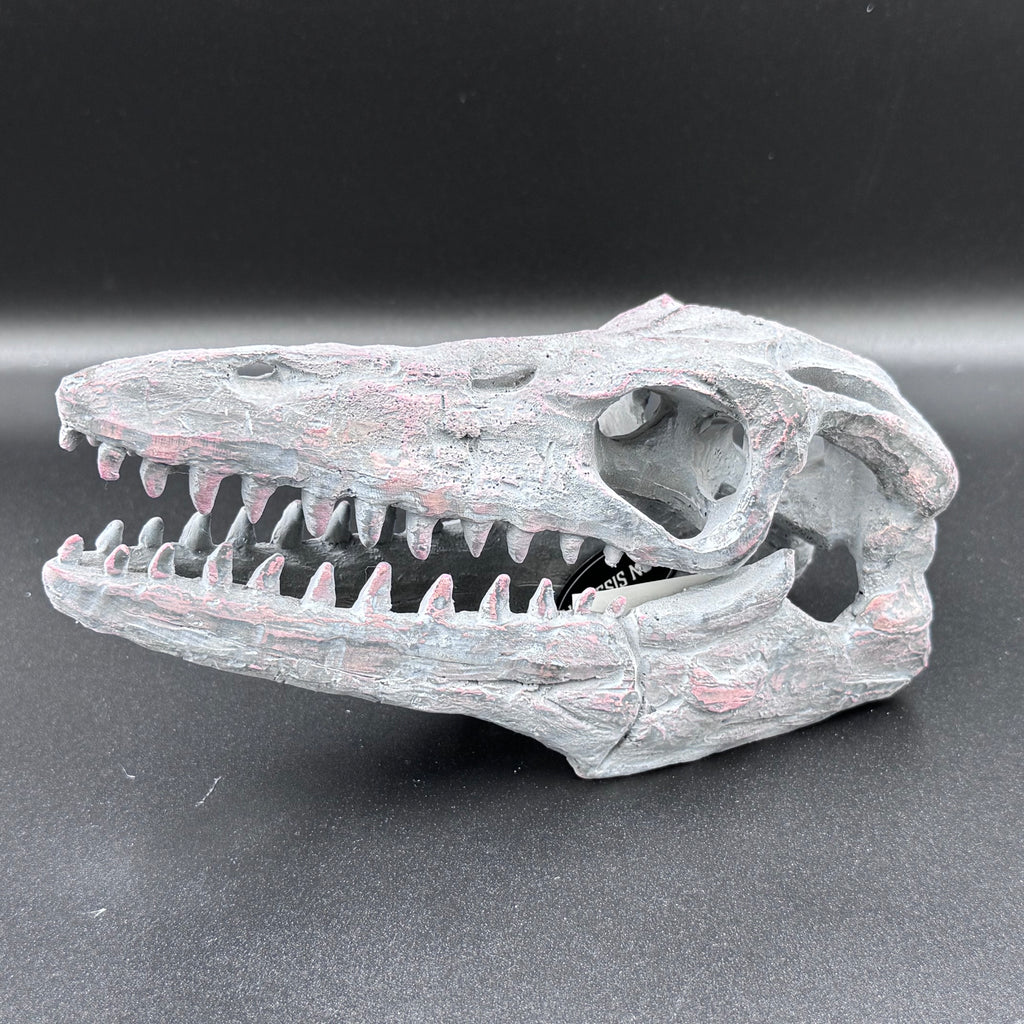 Archaeopteryx Skull Decorative Resin Replica