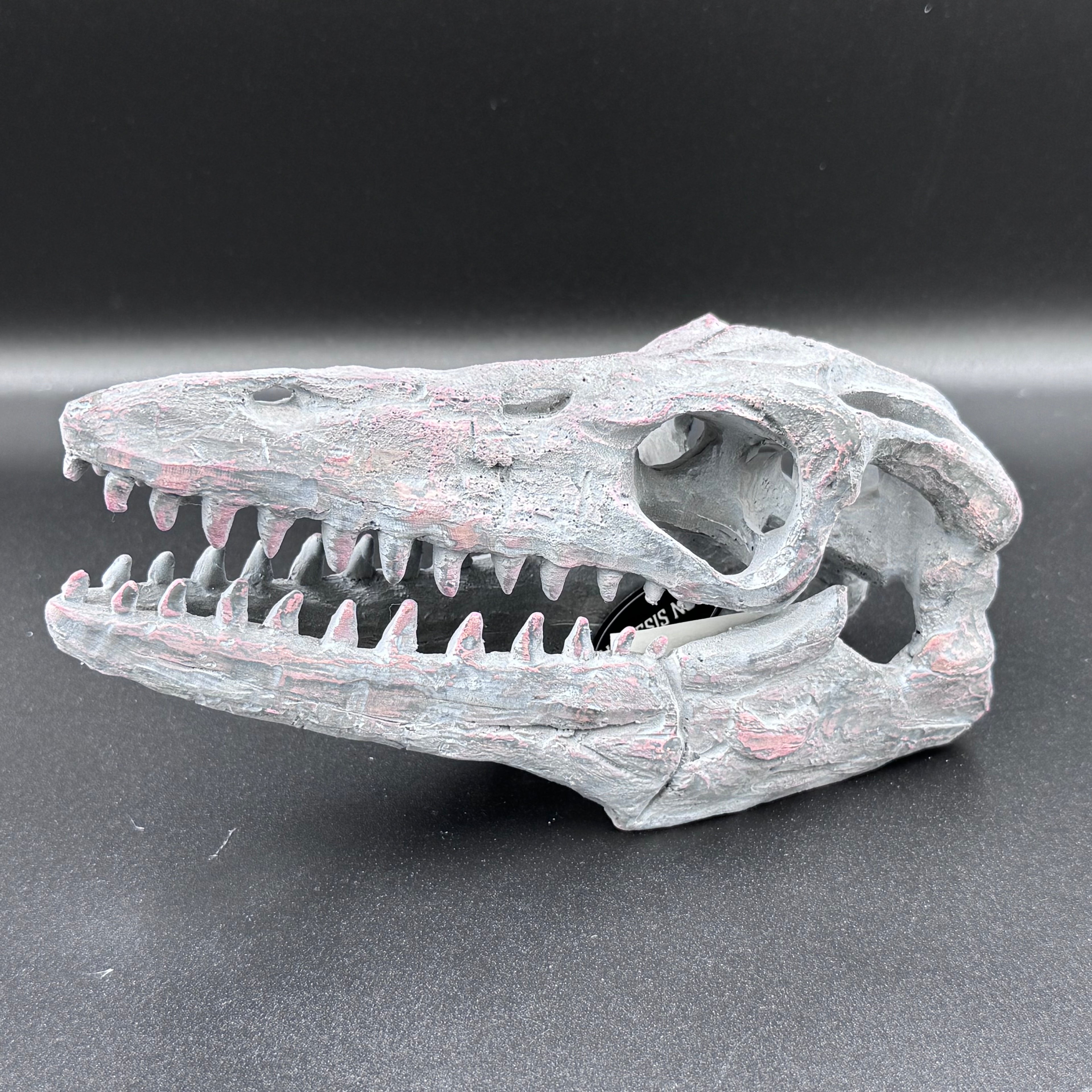 Archaeopteryx Skull Decorative Resin Replica