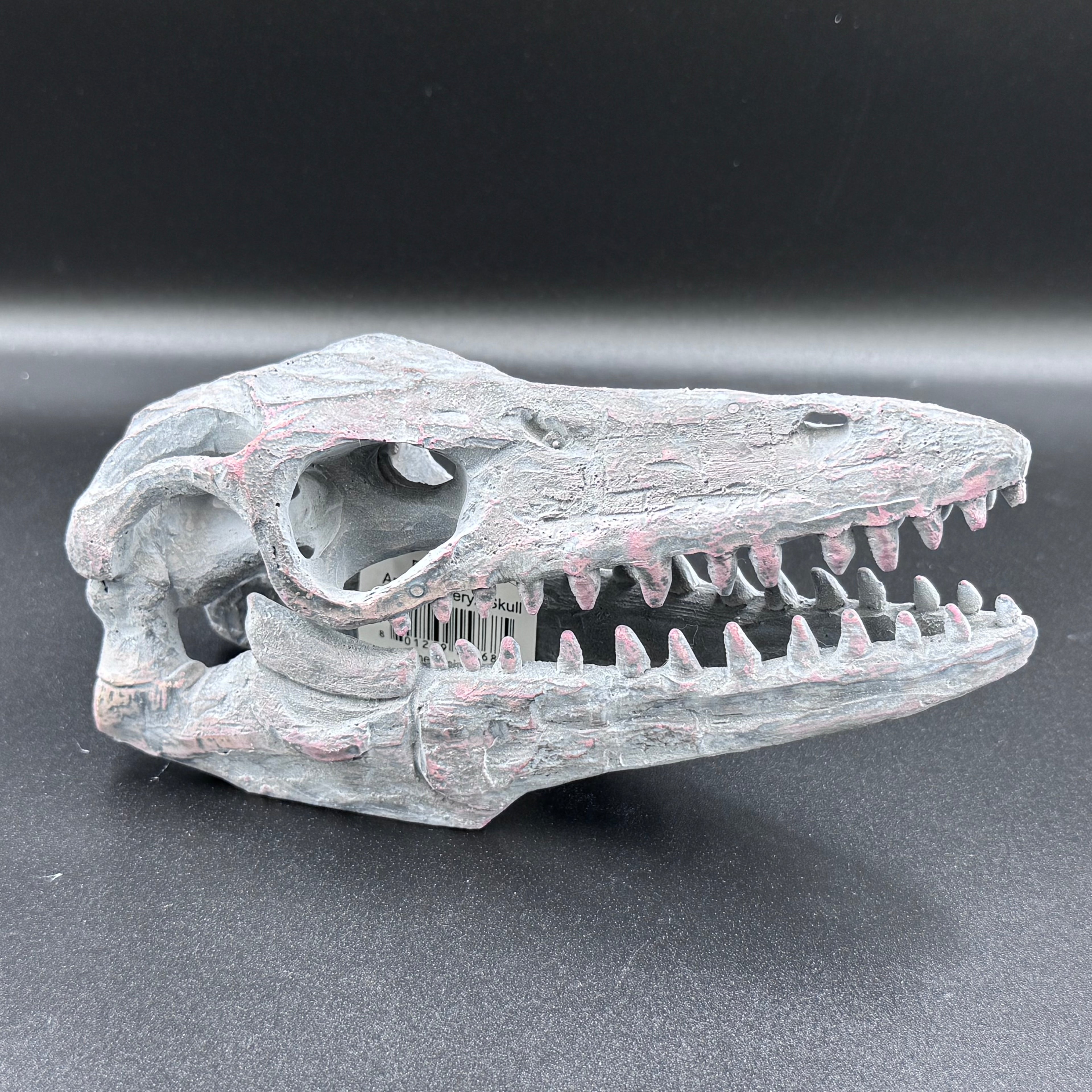 Archaeopteryx Skull Decorative Resin Replica