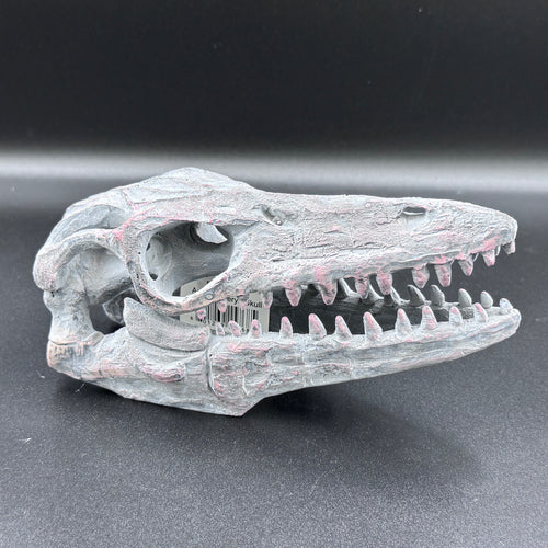 Archaeopteryx Skull Decorative Resin Replica