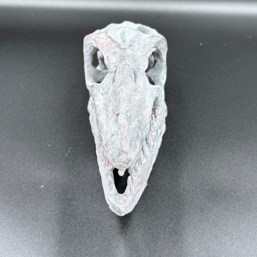 Archaeopteryx Skull Decorative Resin Replica