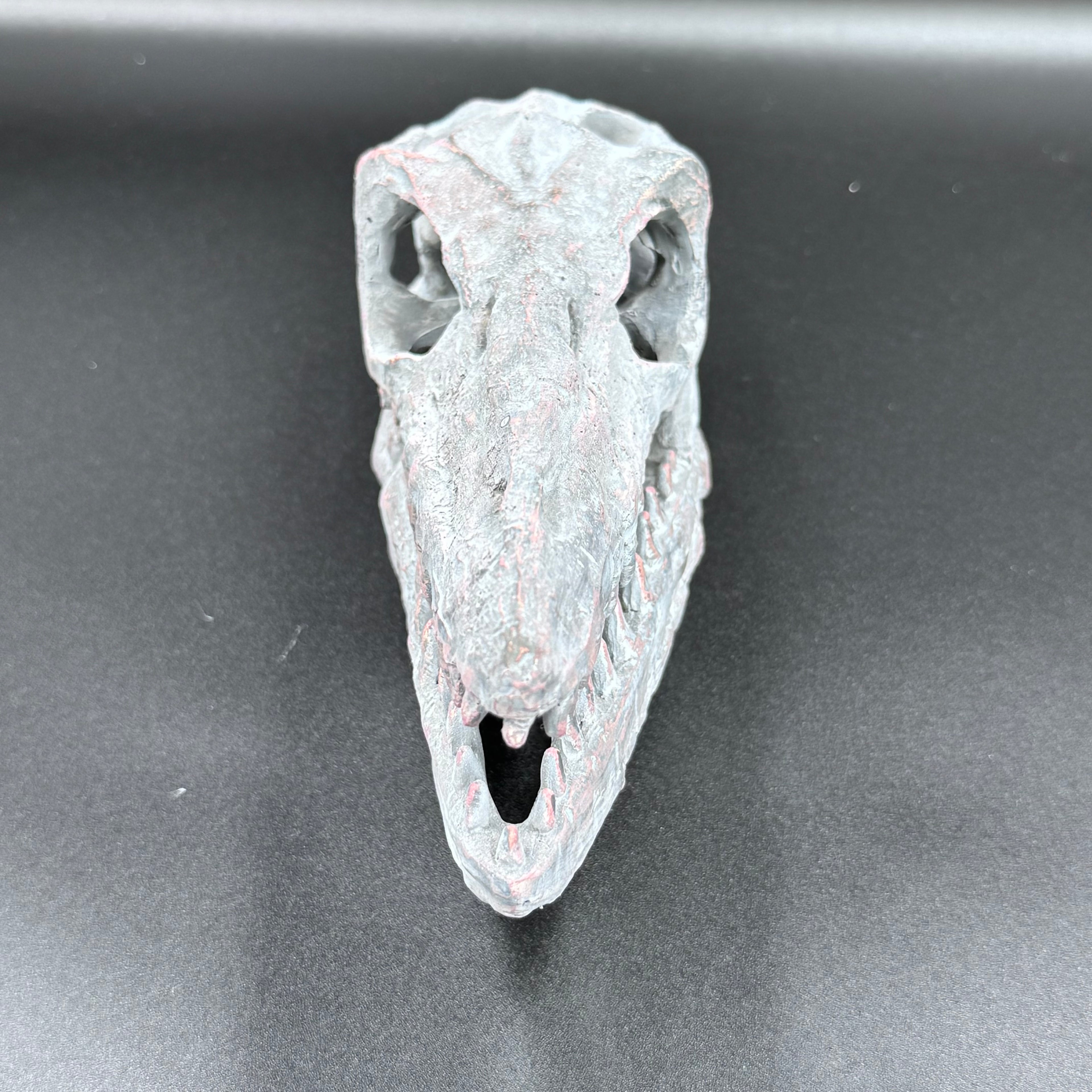 Archaeopteryx Skull Decorative Resin Replica