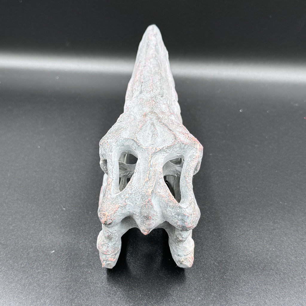 Archaeopteryx Skull Decorative Resin Replica