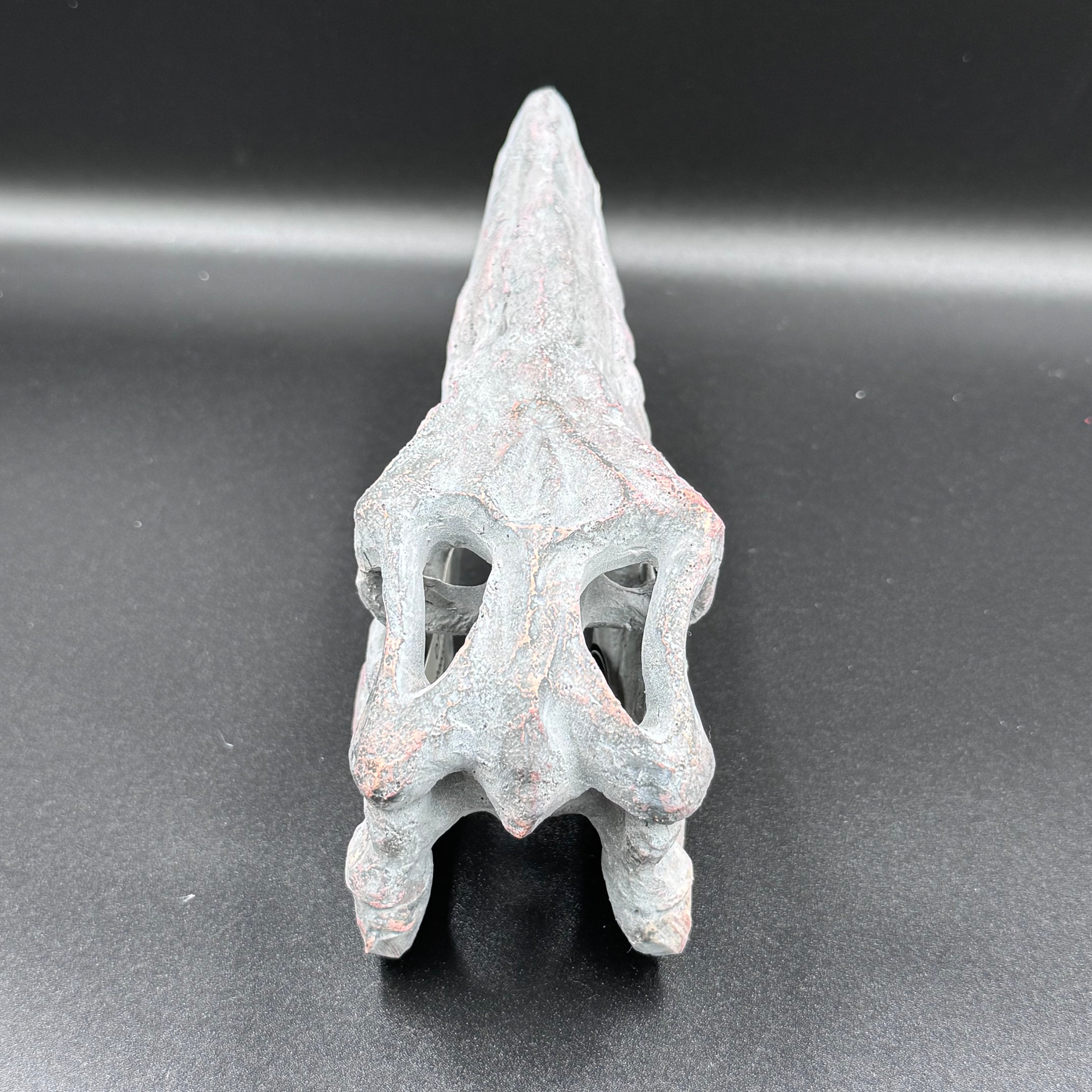 Archaeopteryx Skull Decorative Resin Replica