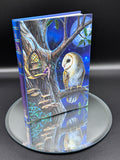 Lisa Parker Fairy Tales Owl And Fairy Journal Book Note Pad (17cm)