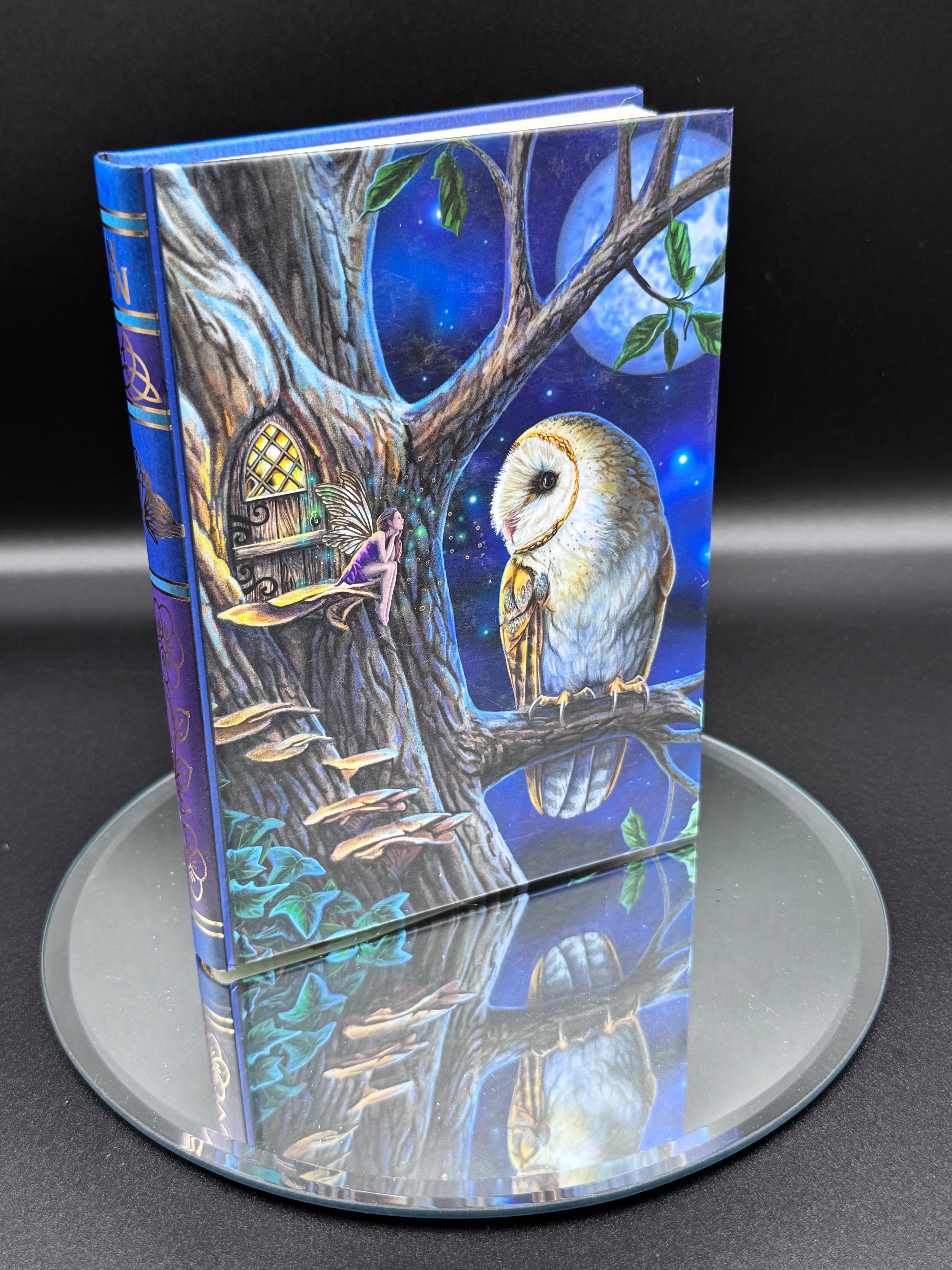 Lisa Parker Fairy Tales Owl And Fairy Journal Book Note Pad (17cm)